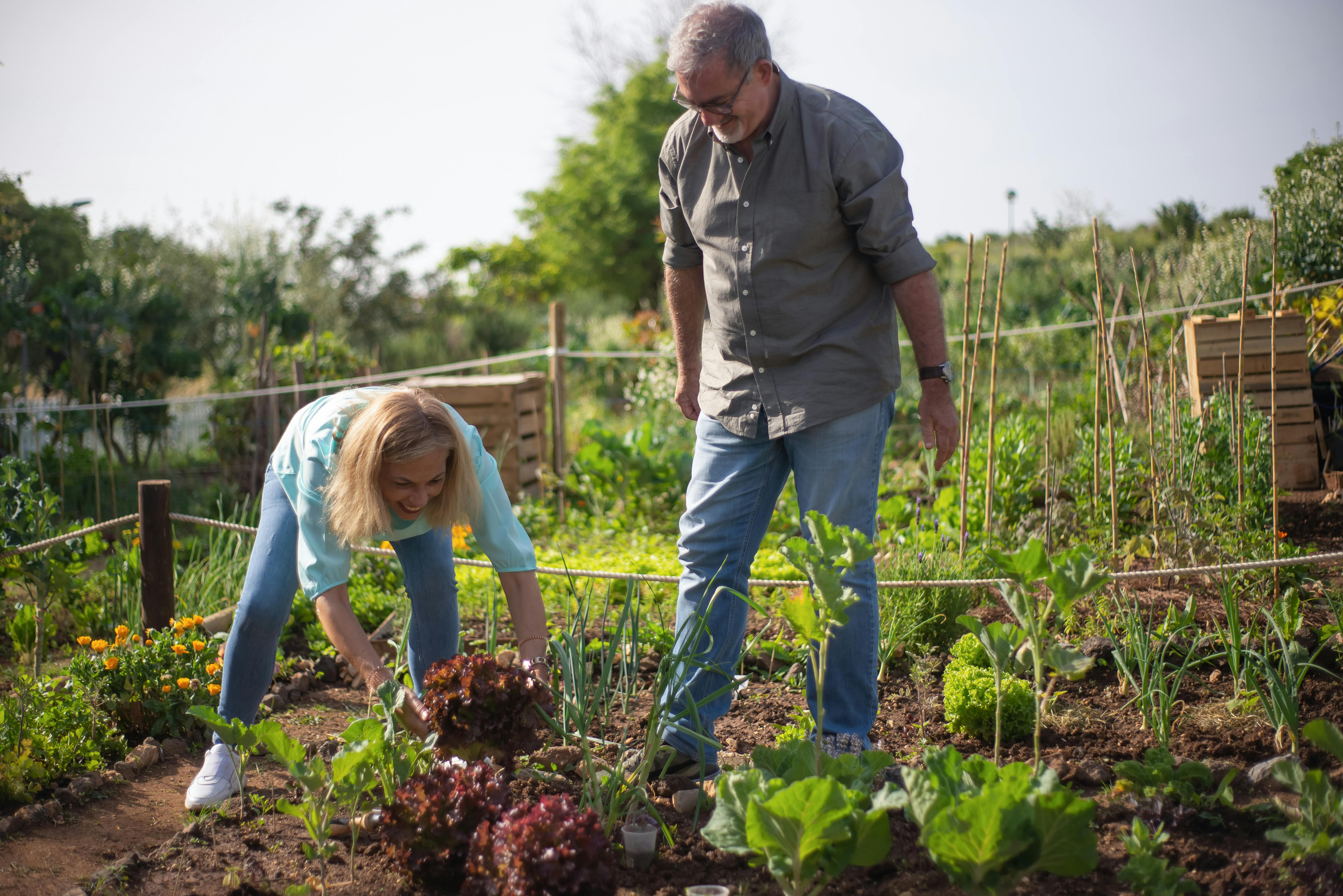 Twee mensen werken in de tuin
