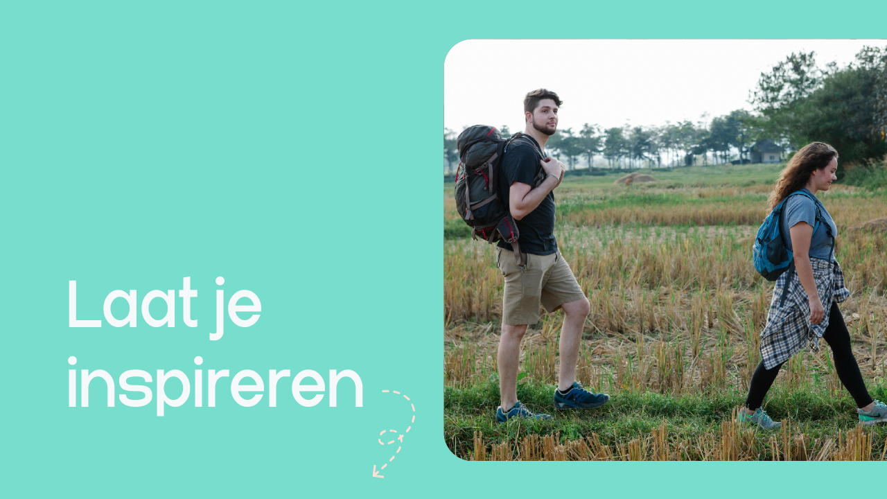 Wandelaars in een veld